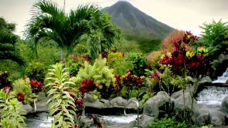 Arenal Volcano National Park and Hot Springs