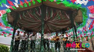 Visita Jalisco
