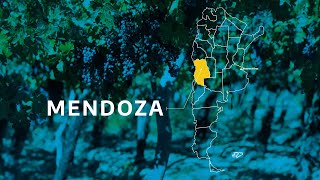 Mendoza