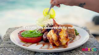 Piensa en México, Piensa en Baja California Sur