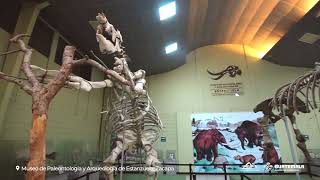 ¡Visita el oriente místico y natural!