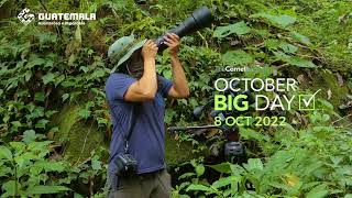 🦅8 de octubre Día Mundial de las Aves Migratorias