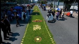 ELABORACIÓN DE ALFOMBRA DEL INGUAT