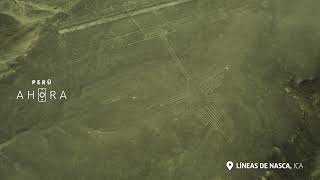 ICA NASCA ESP ALTA CAPSULA