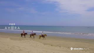 PIURA SOL Y PLAYA ESP ALTA CAPSULA