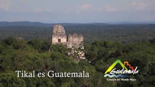TIKAL ES GUATEMALA