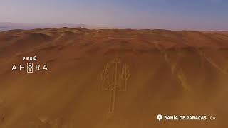 ICA PARACAS ESP ALTA CAPSULA